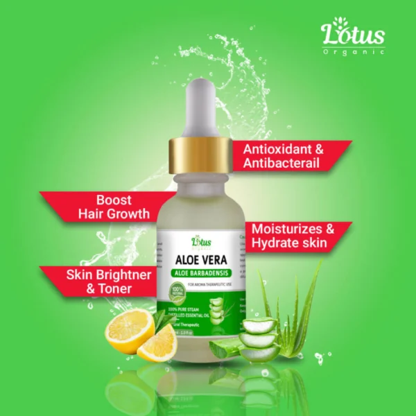 Aloe Vera Essential Oil - Image 2