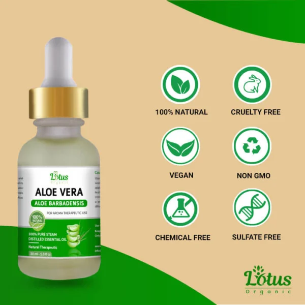 Aloe Vera Essential Oil - Image 5