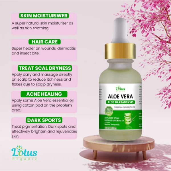 Aloe Vera Essential Oil - Image 7