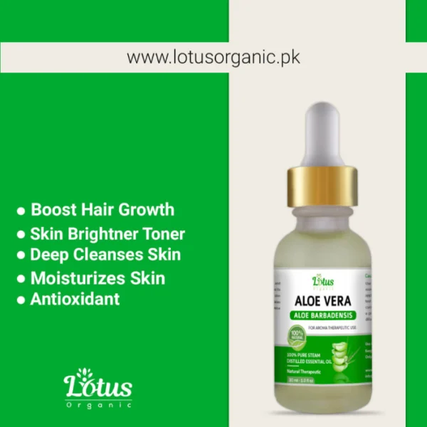 Aloe Vera Essential Oil - Image 4