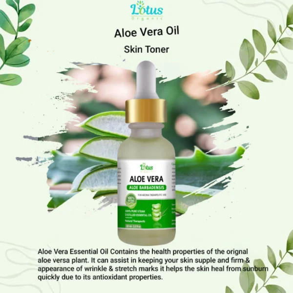 Aloe Vera Essential Oil - Image 3