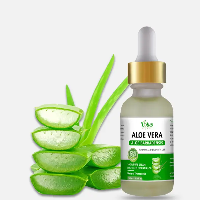 Aloe Vera Essential Oil