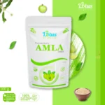 Amla Powder - Image 2