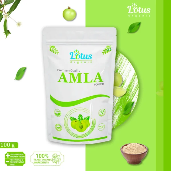 Amla Powder - Image 2