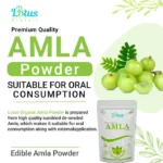 Amla Powder - Image 6