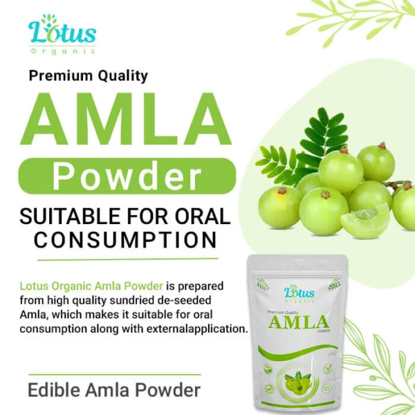 Amla Powder - Image 6
