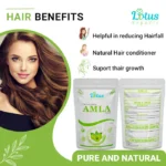 Amla Powder - Image 5