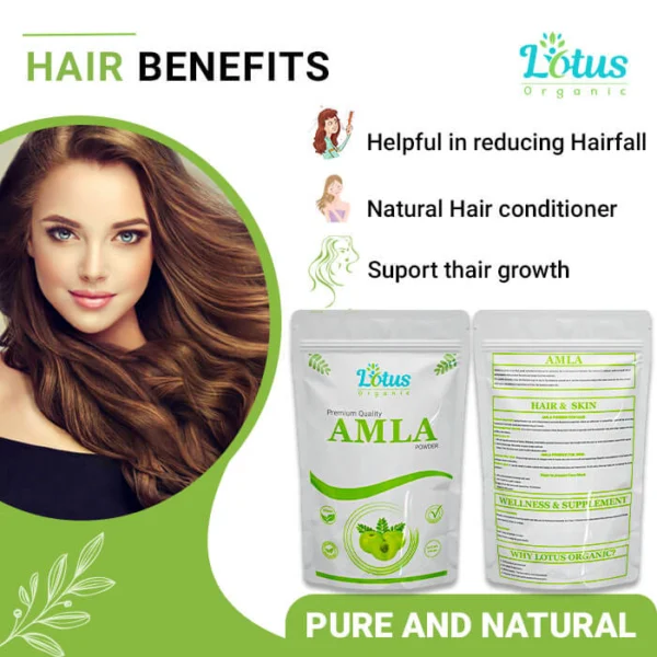 Amla Powder - Image 5