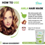 Amla Powder - Image 4