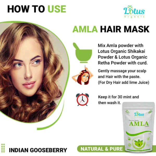 Amla Powder - Image 4