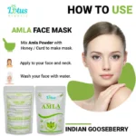 Amla Powder - Image 3