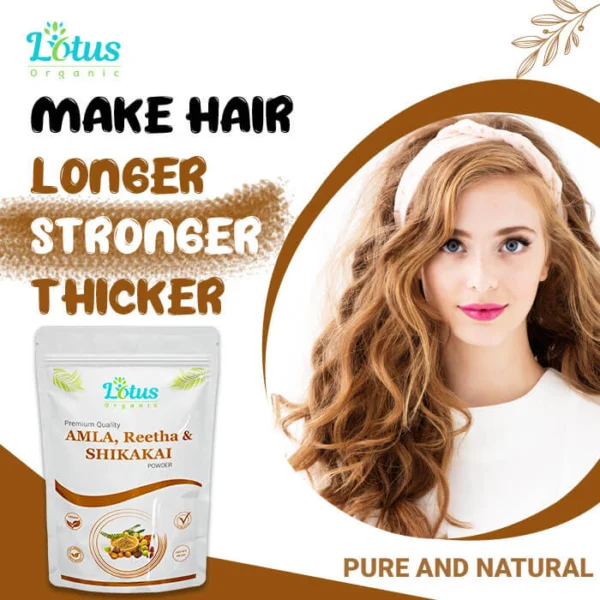 Amla Reetha & Shikakai Powder - Image 3