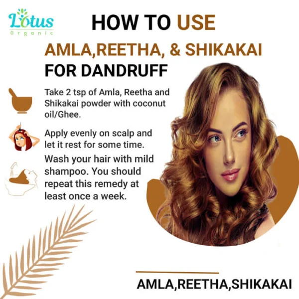 Amla Reetha & Shikakai Powder - Image 5