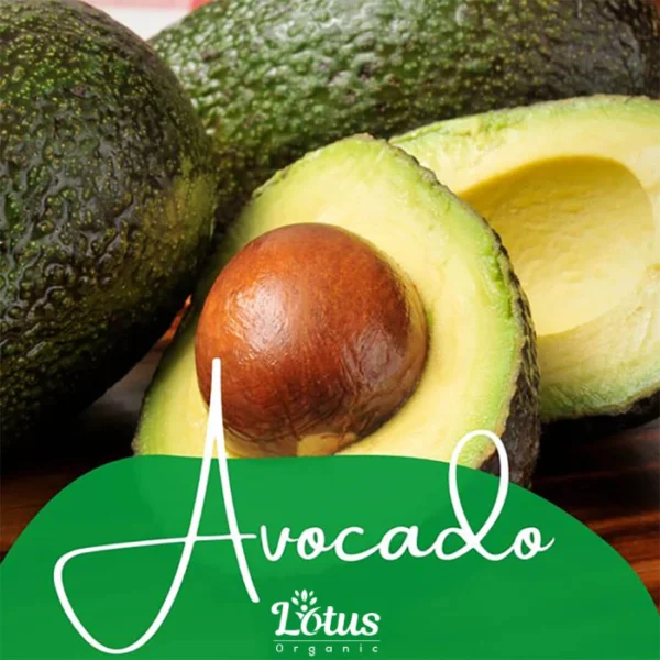 Avocada Oil - Image 13