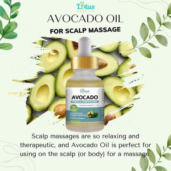 Avocada Oil - Image 3