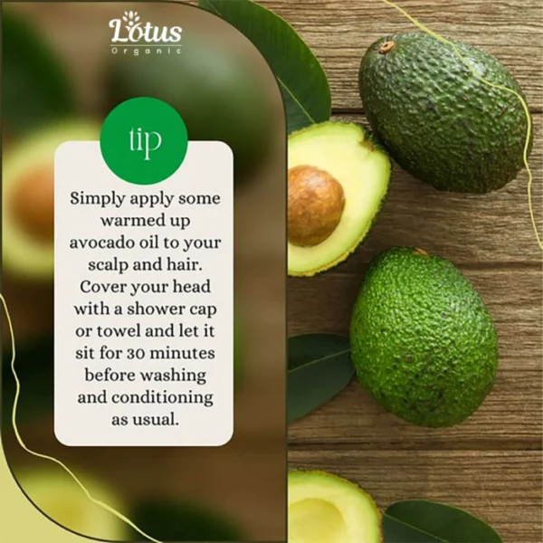 Avocada Oil - Image 11