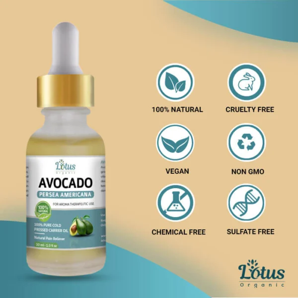 Avocada Oil - Image 6
