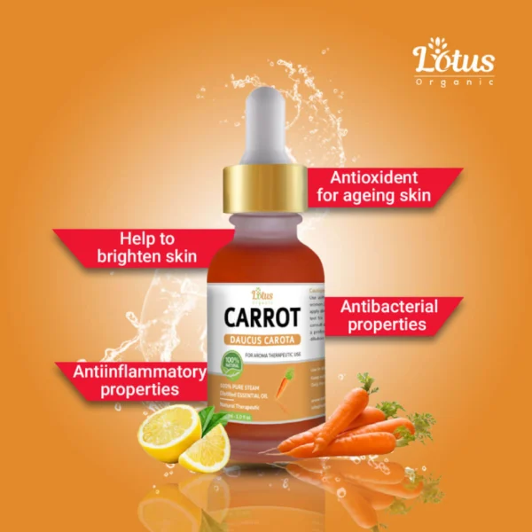 Carrot Essential Oil - Image 2