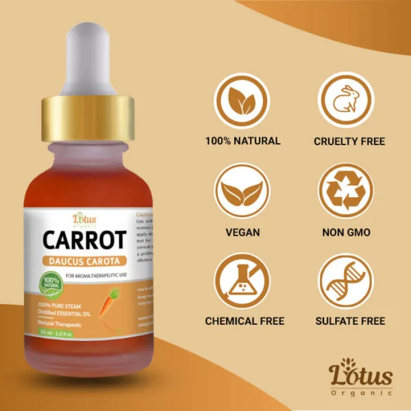 Carrot Essential Oil - Image 9