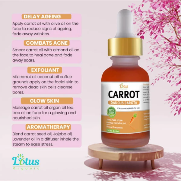 Carrot Essential Oil - Image 8