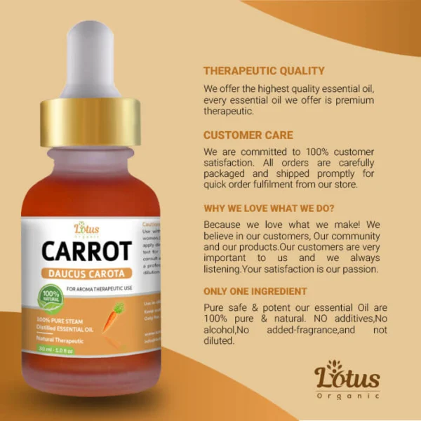 Carrot Essential Oil - Image 7