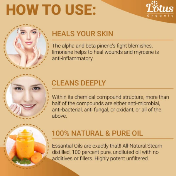Carrot Essential Oil - Image 6