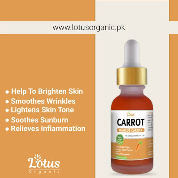 Carrot Essential Oil - Image 4