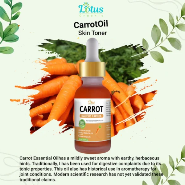 Carrot Essential Oil - Image 3