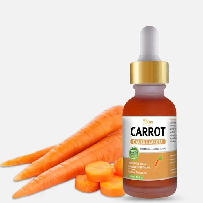 Carrot Essential Oil