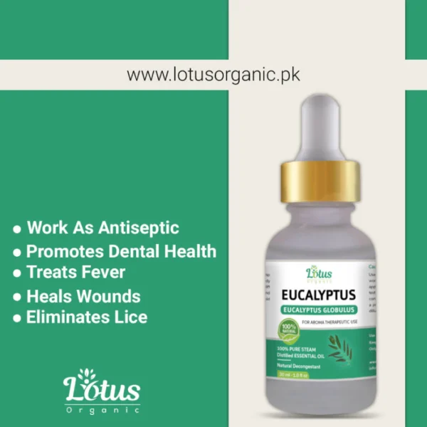 Eucalyptus Essential Oil - Image 4