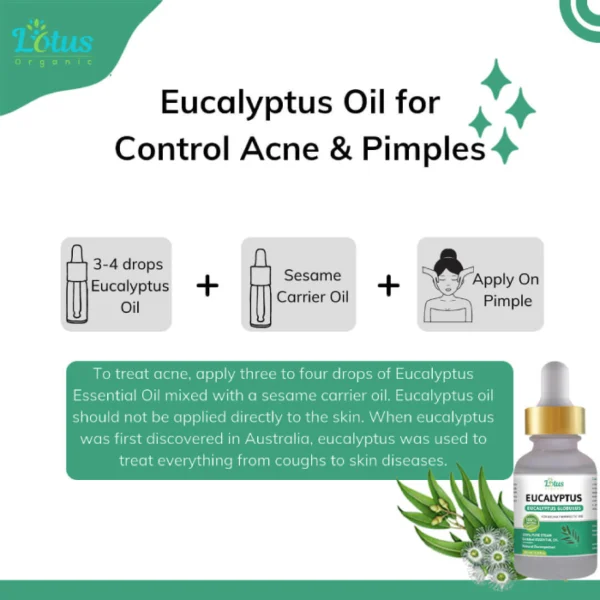 Eucalyptus Essential Oil - Image 5