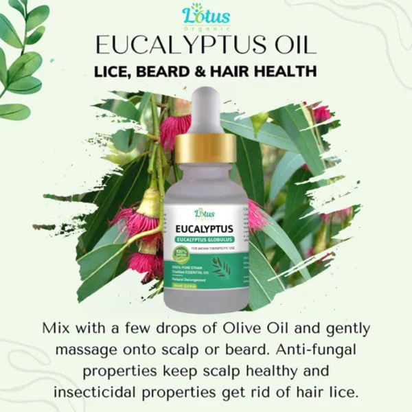 Eucalyptus Essential Oil - Image 3