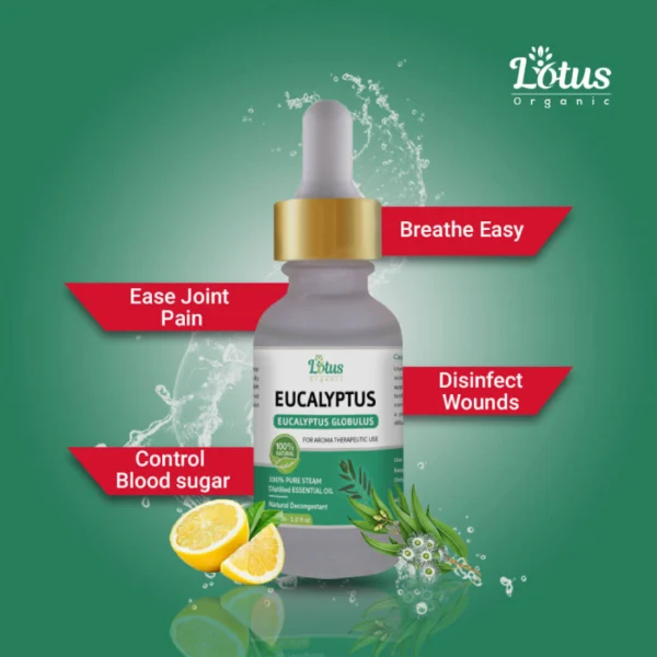 Eucalyptus Essential Oil - Image 2