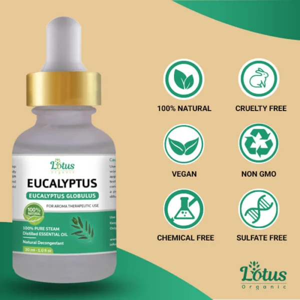 Eucalyptus Essential Oil - Image 7