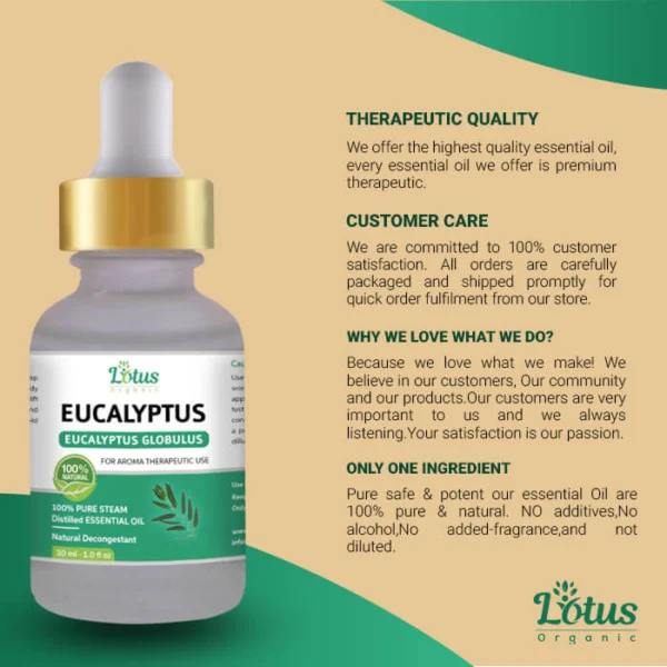 Eucalyptus Essential Oil - Image 10