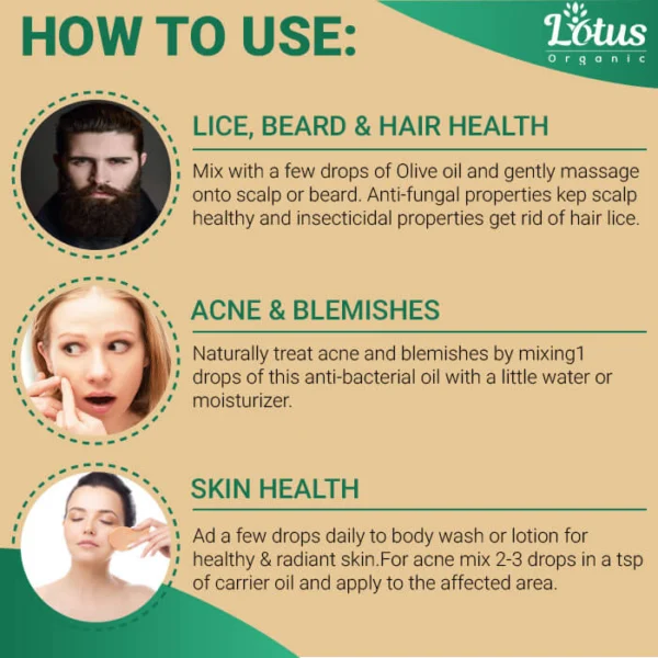 Eucalyptus Essential Oil - Image 9