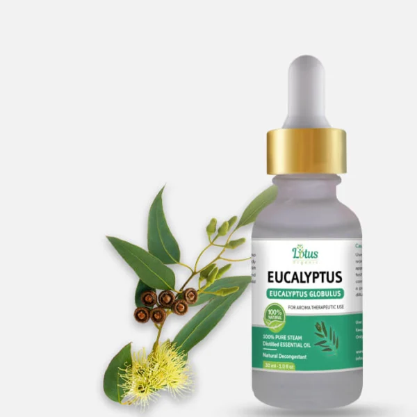 Eucalyptus Essential Oil
