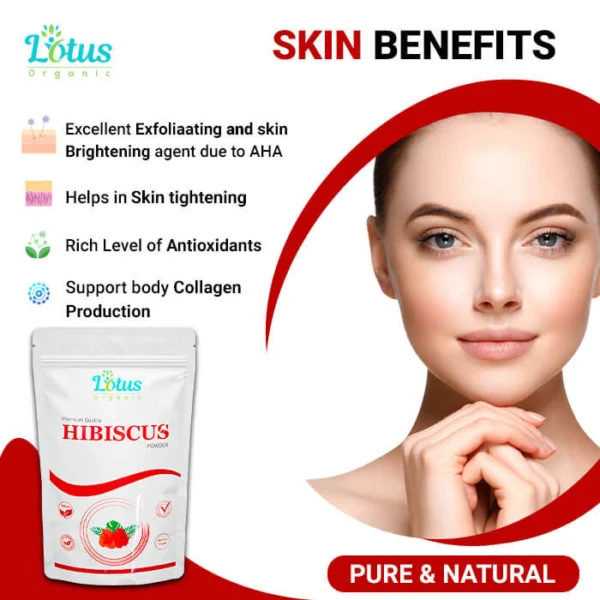 Hibiscus Powder - Image 4