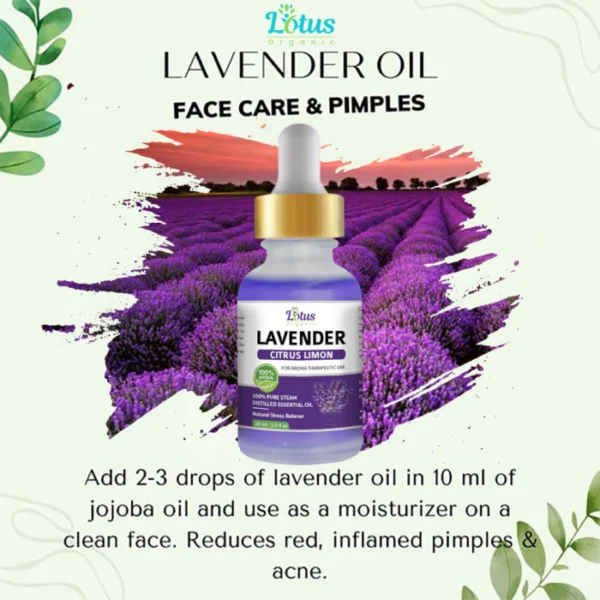 Lavender Essential Oil - Image 3