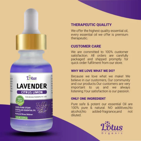 Lavender Essential Oil - Image 10