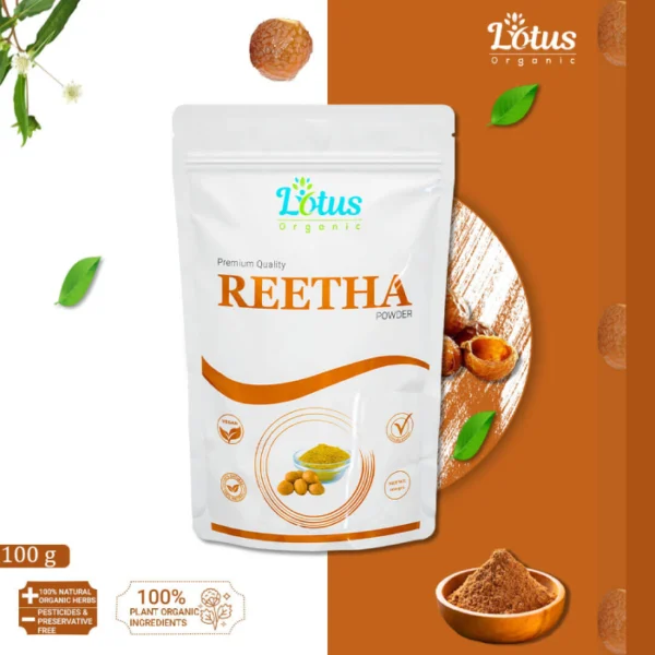 Reetha Powder - Image 2