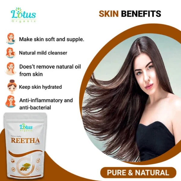 Reetha Powder - Image 6