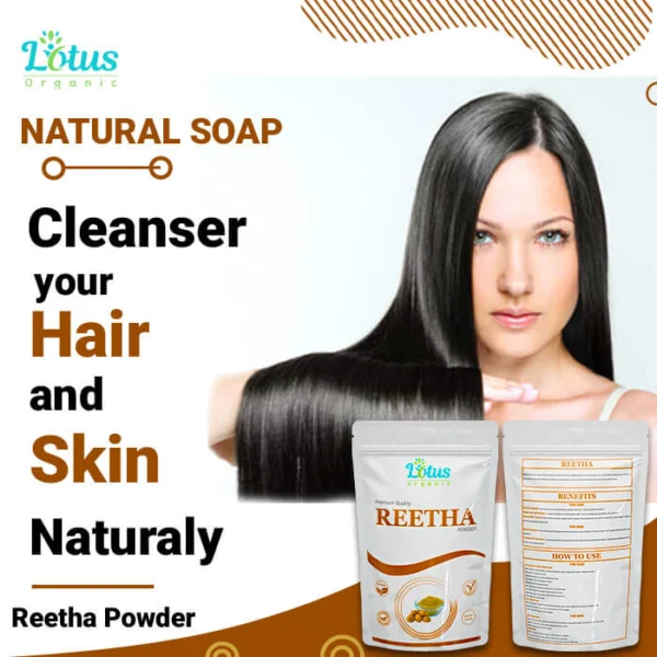 Reetha Powder - Image 5