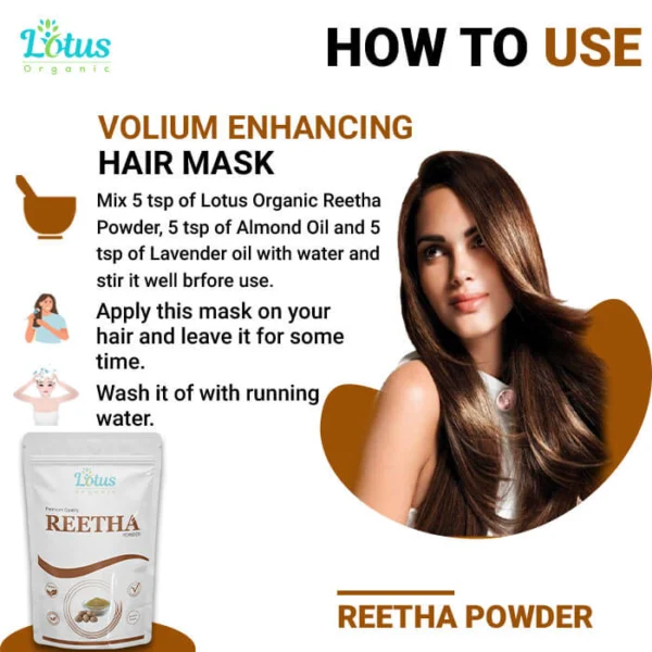 Reetha Powder - Image 4