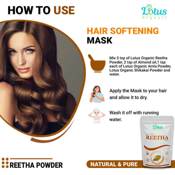 Reetha Powder - Image 3