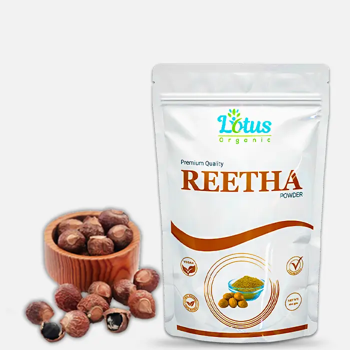 Reetha Powder