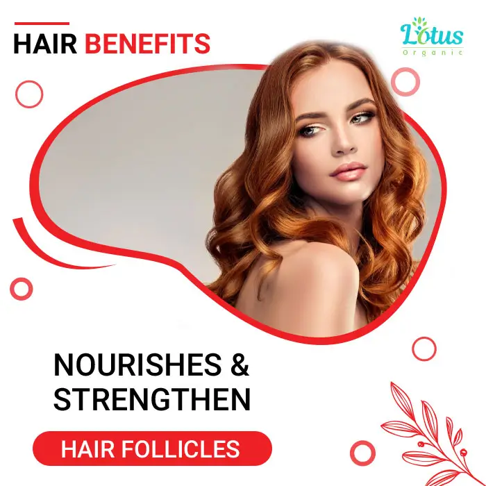 Rose Petal Powder - Image 4