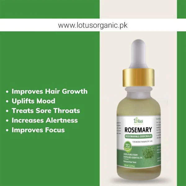 Rosemary Essential Oil - Image 4