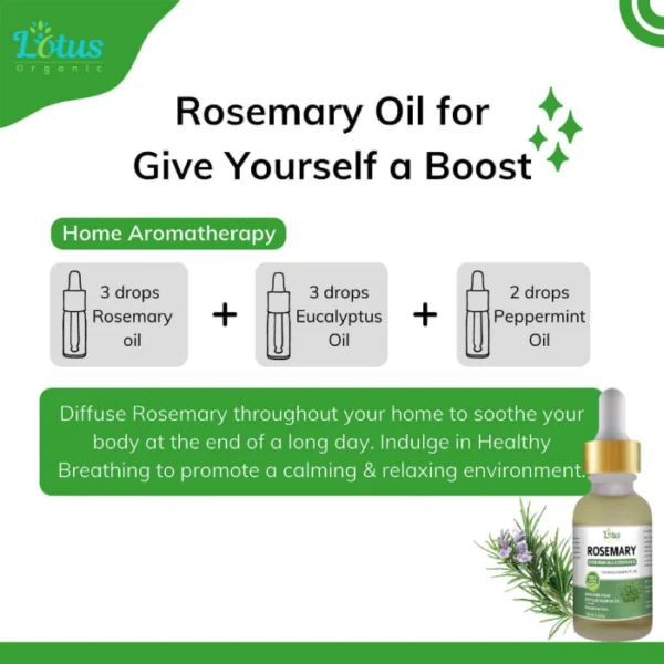 Rosemary Essential Oil - Image 5