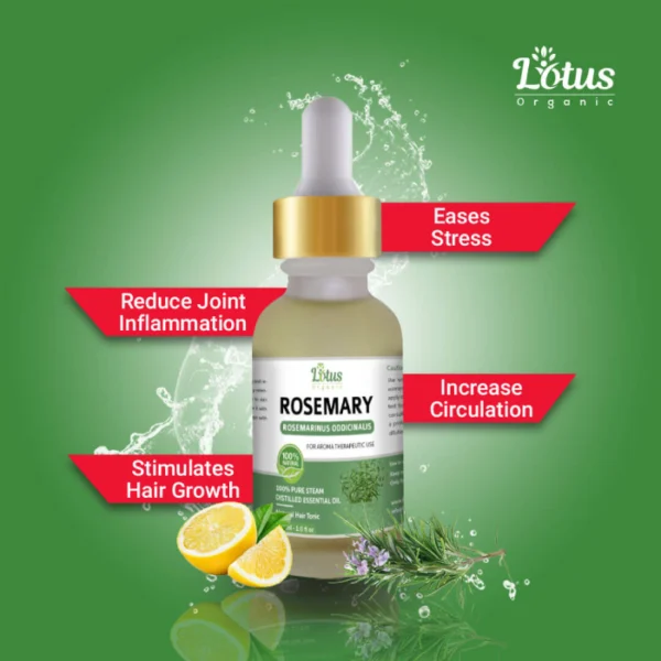 Rosemary Essential Oil - Image 2